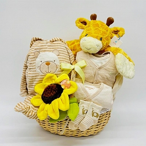 B210 Baby Hamper